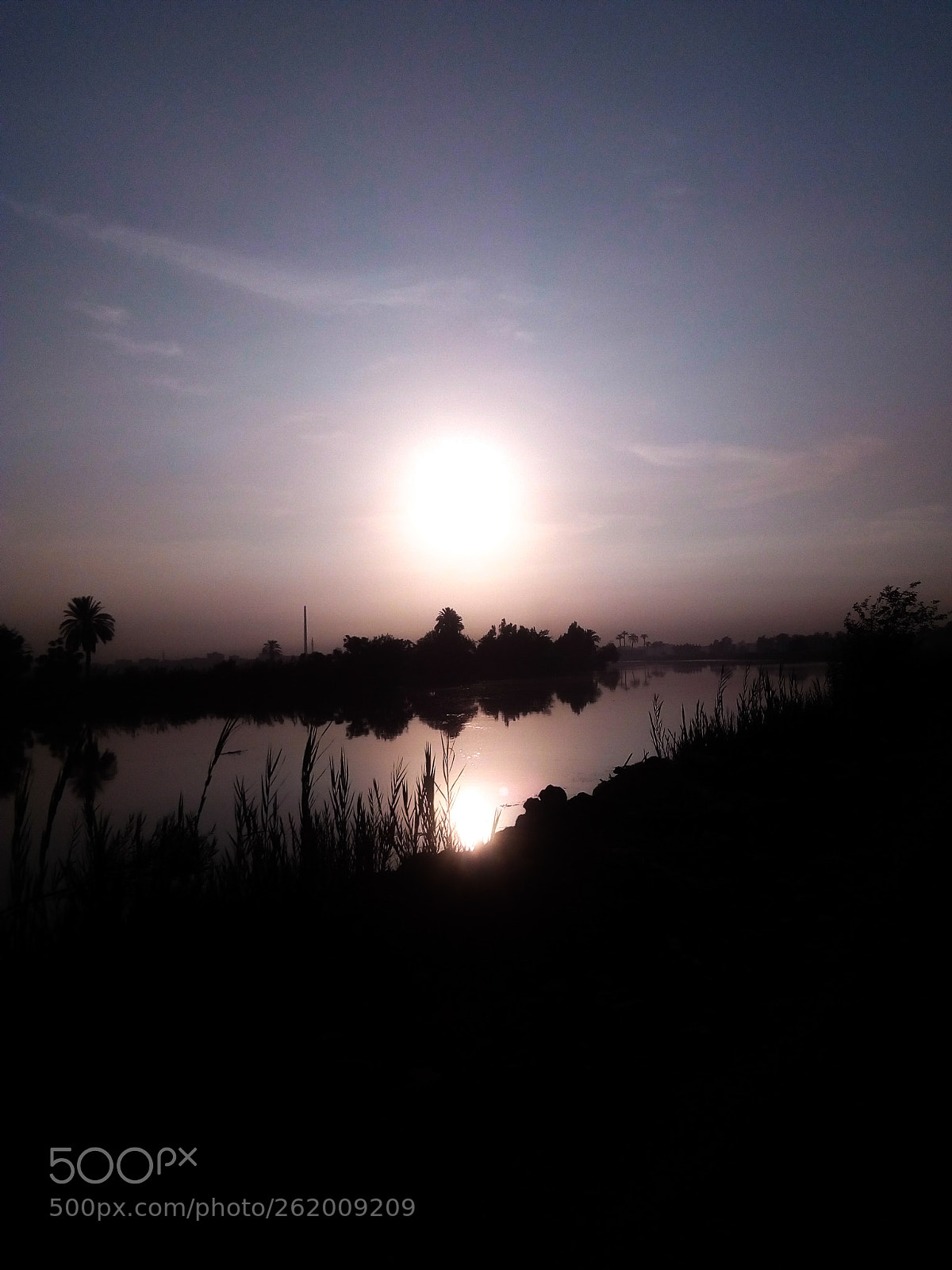 HUAWEI Y5 2017 sample photo. Untitled photography