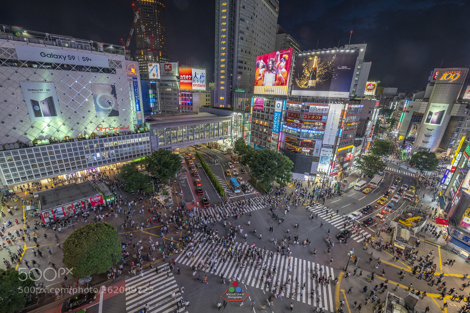 Nikon D850 sample photo. Shibuya crossing tokyo japan photography