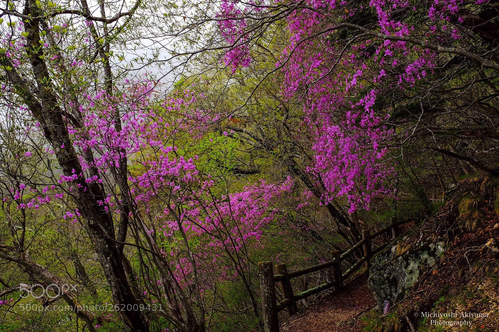 Fujifilm X-T1 sample photo. Lakeside color. photography