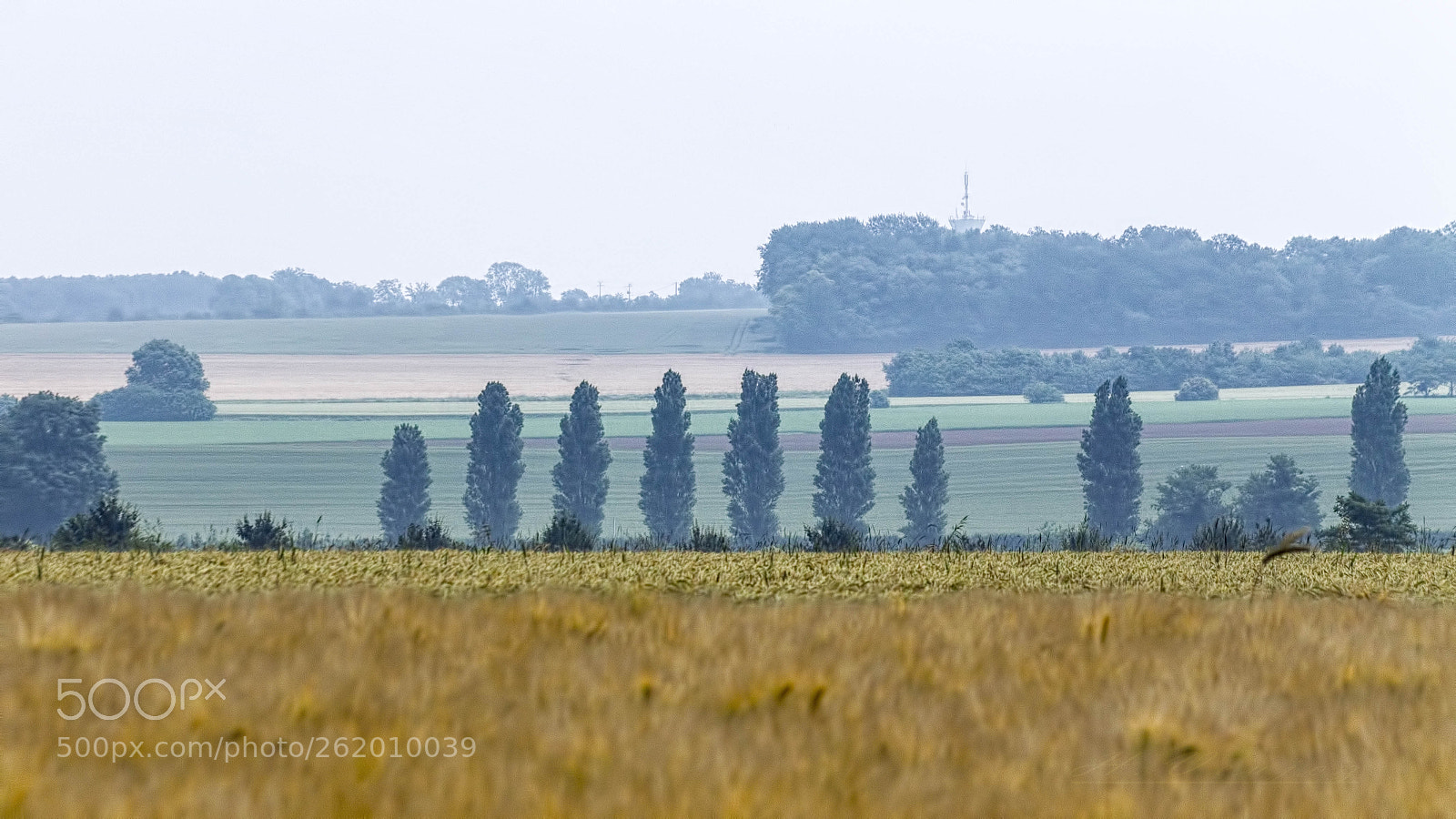 Canon EOS 1100D (EOS Rebel T3 / EOS Kiss X50) sample photo. Paysage orne photography