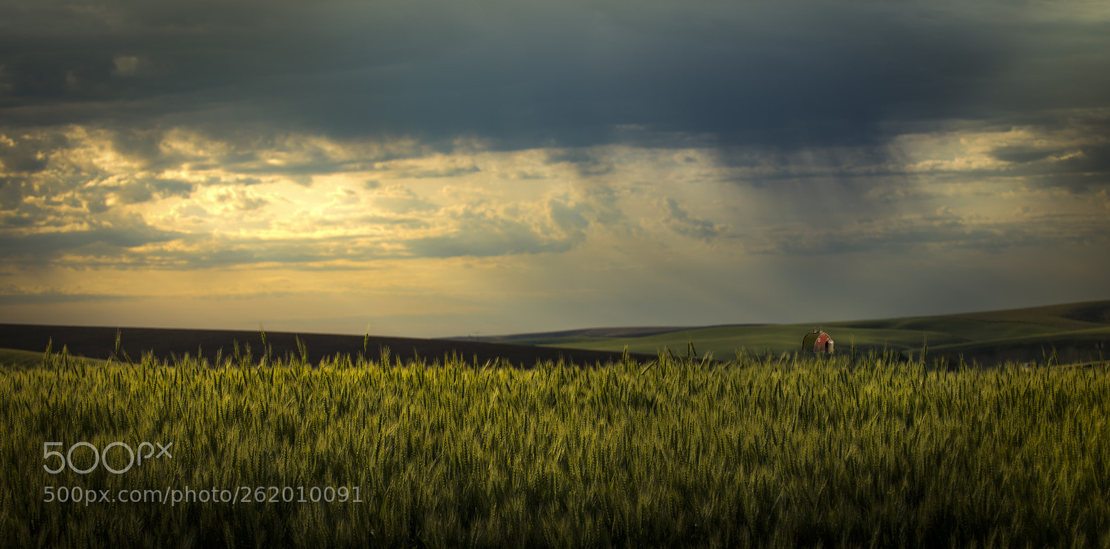 Nikon D810 sample photo. Passing palouse storm photography