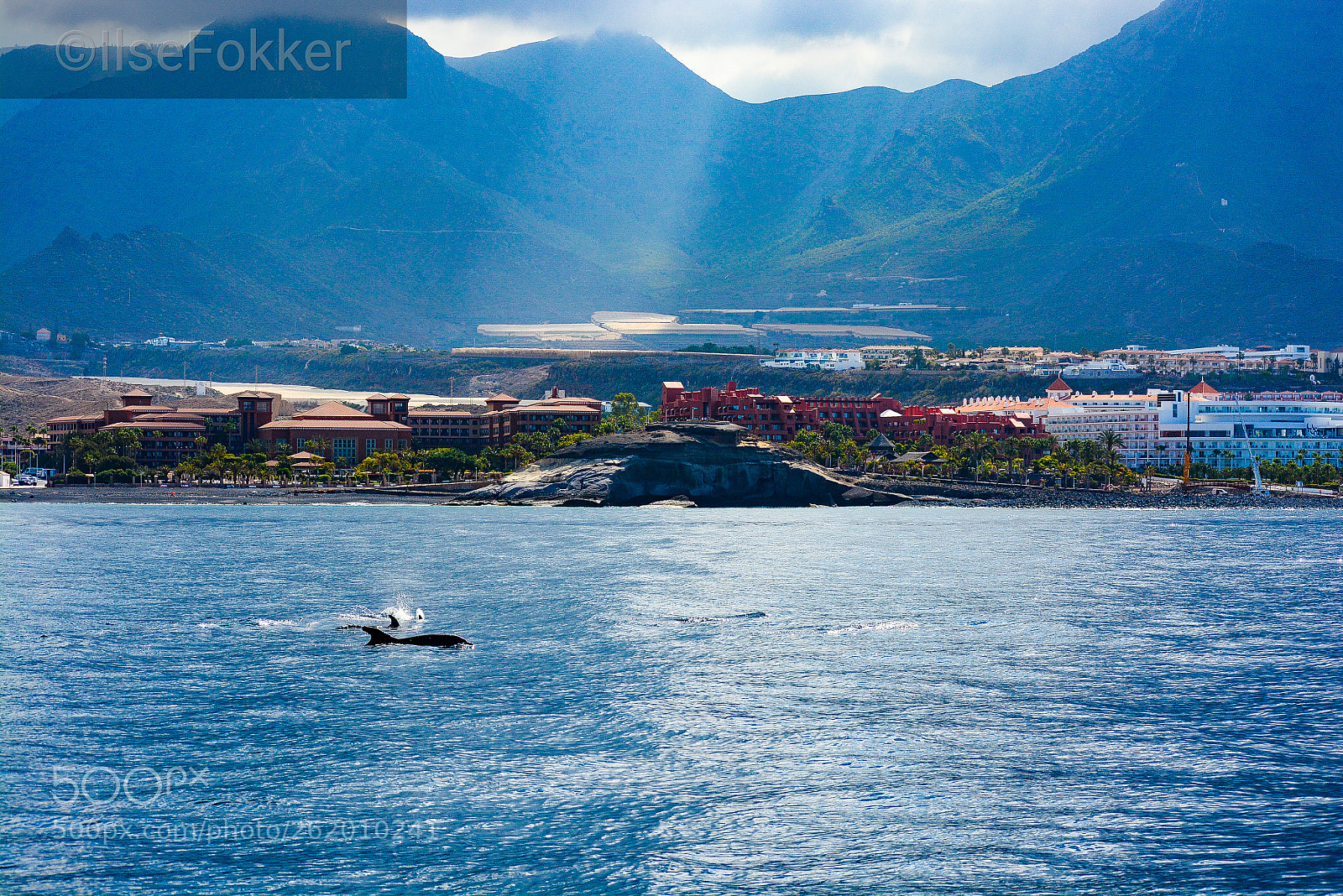 Nikon D5200 sample photo. View over tenerife photography