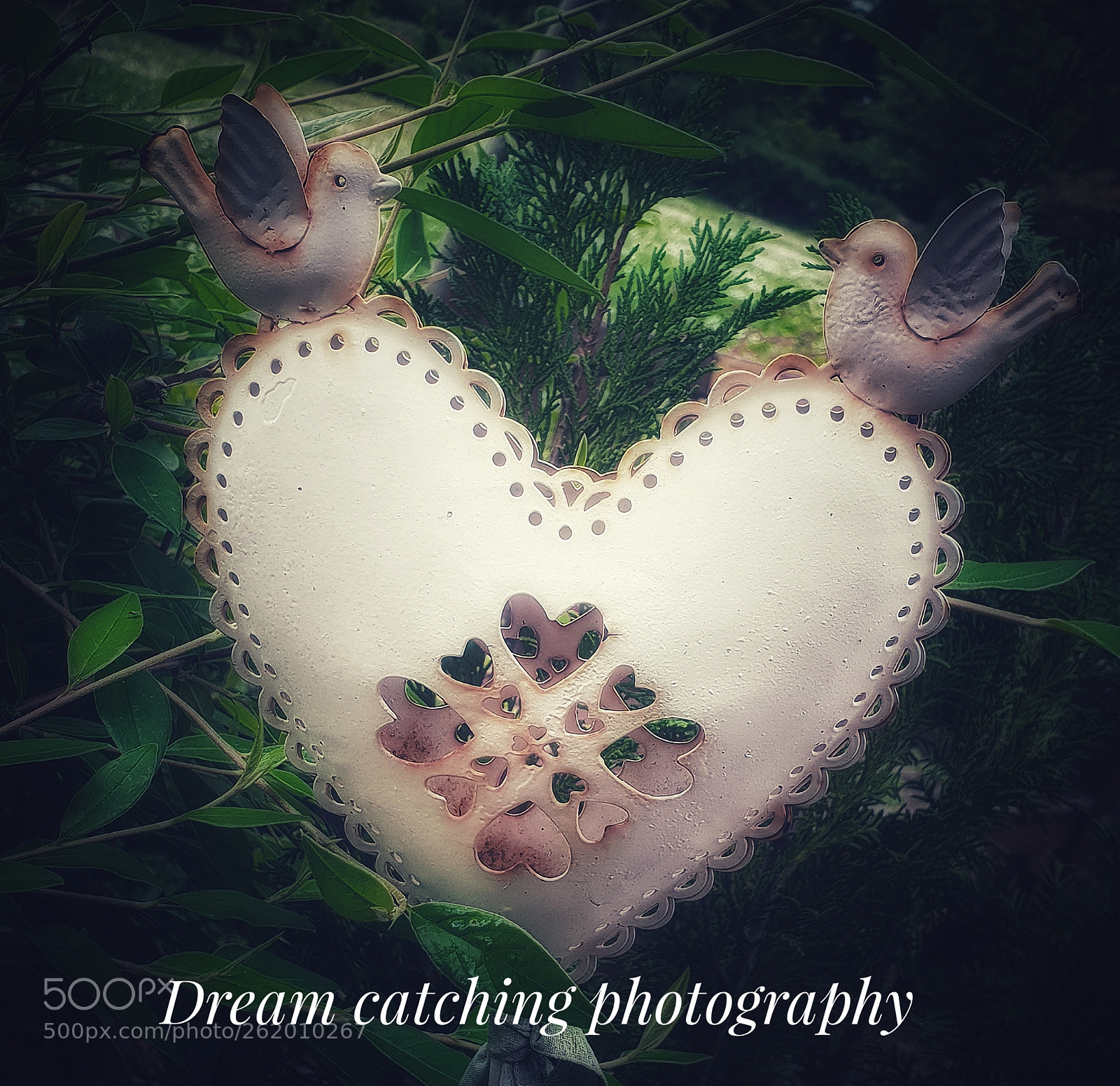 Samsung Galaxy S9 sample photo. Cute photography