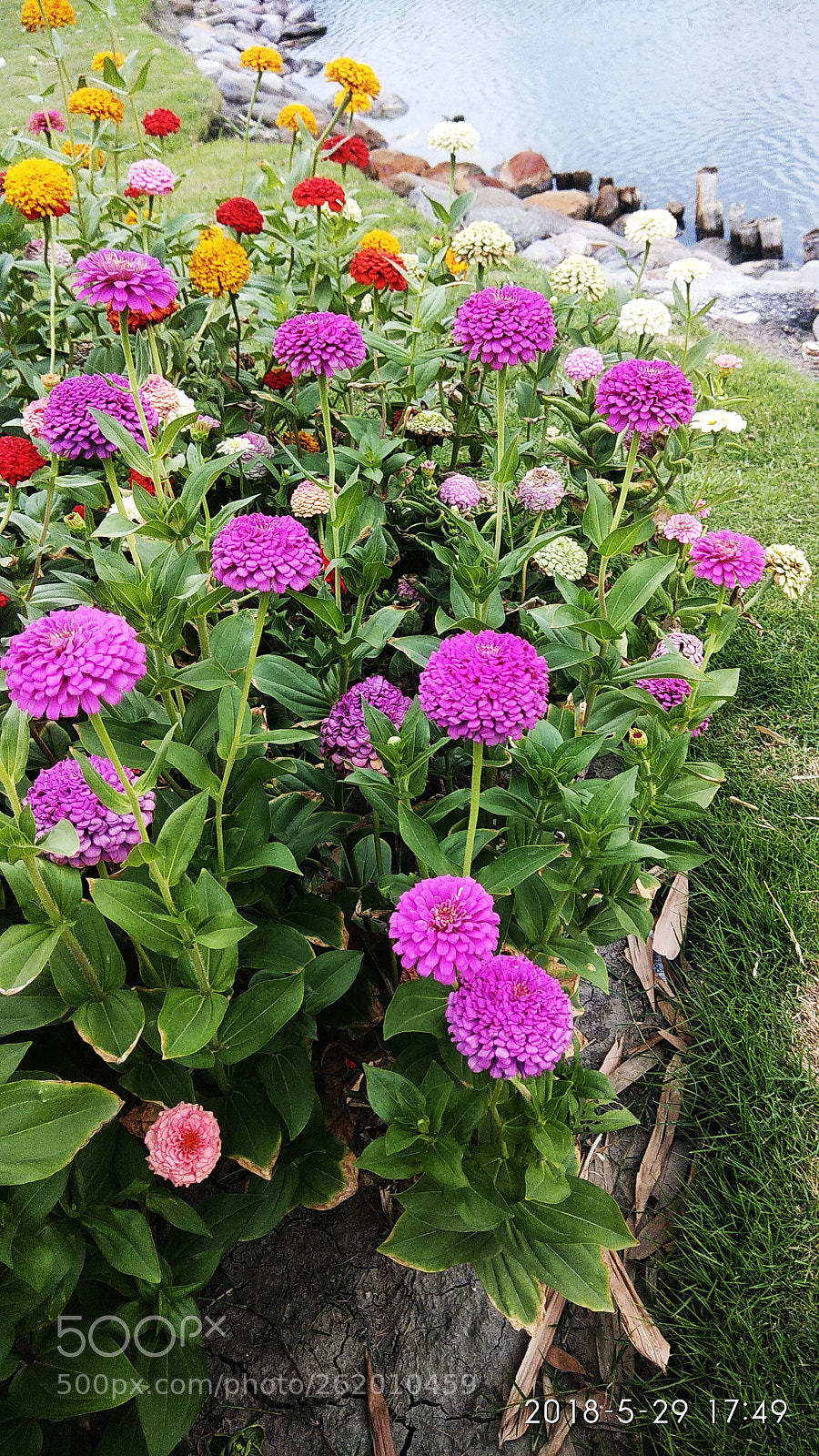 Xiaomi Redmi Note 4 sample photo. Untitled photography