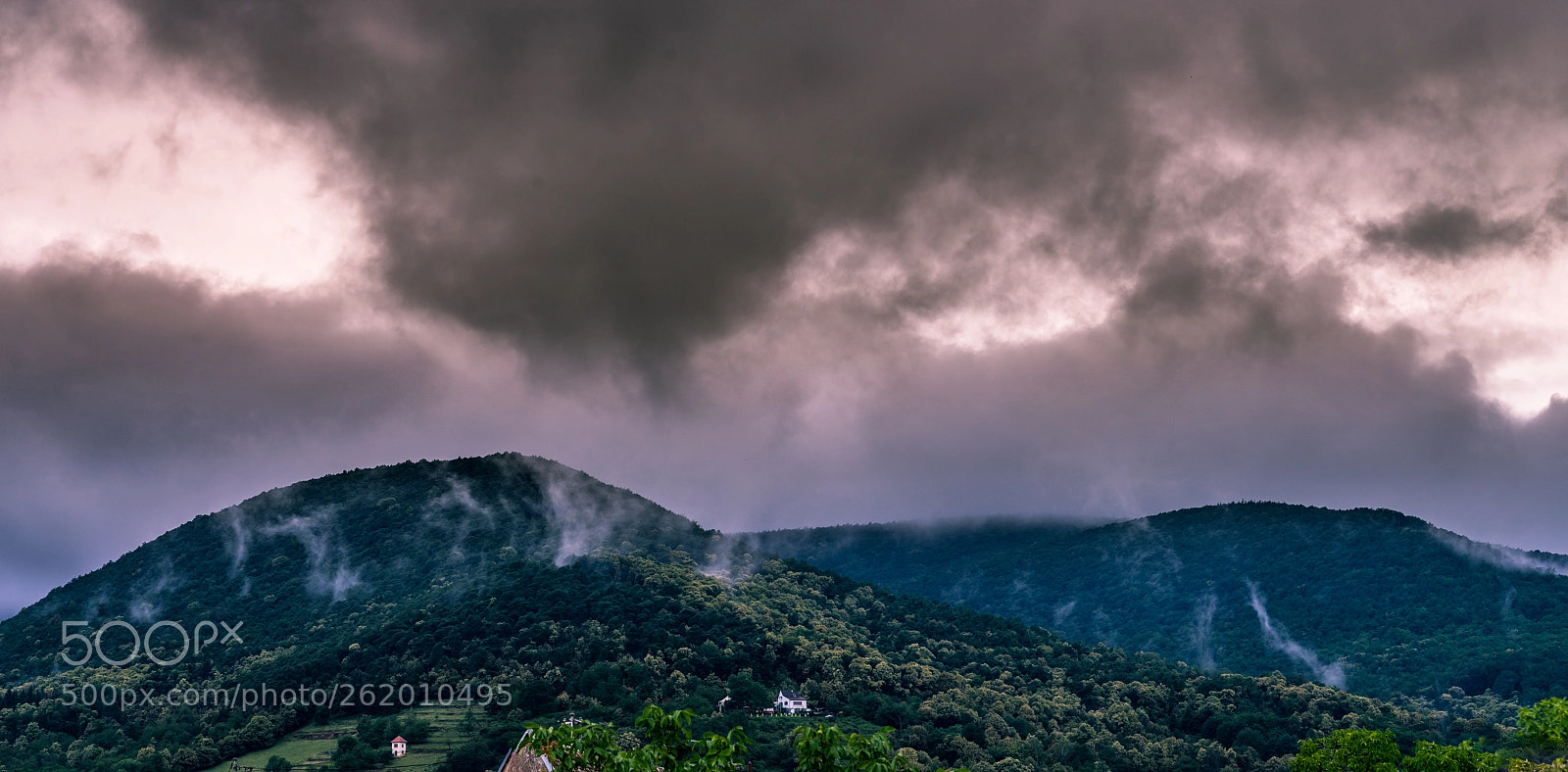 Sony a7 II sample photo. Untitled photography