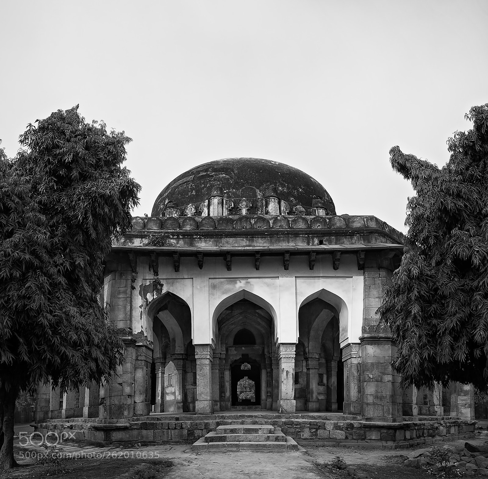Canon EOS 6D sample photo. Project delhi sultanate photography