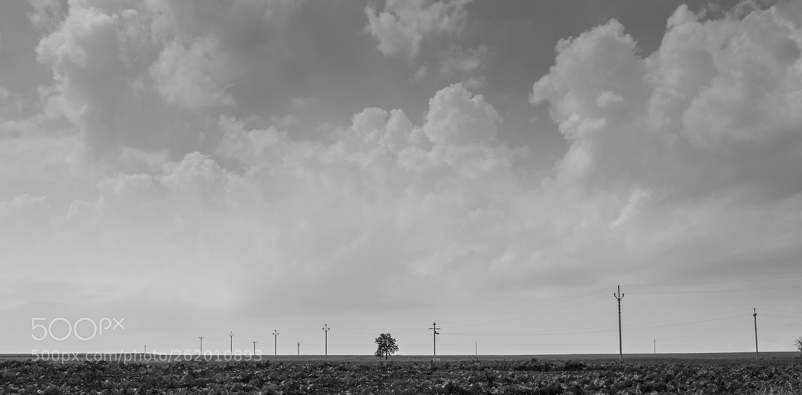 Canon EOS 450D (EOS Rebel XSi / EOS Kiss X2) sample photo. Dramatic summer sky photography
