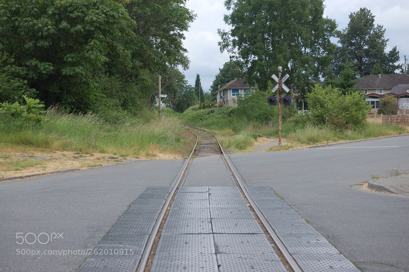 Nikon D40 sample photo. Overgrown crossing photography