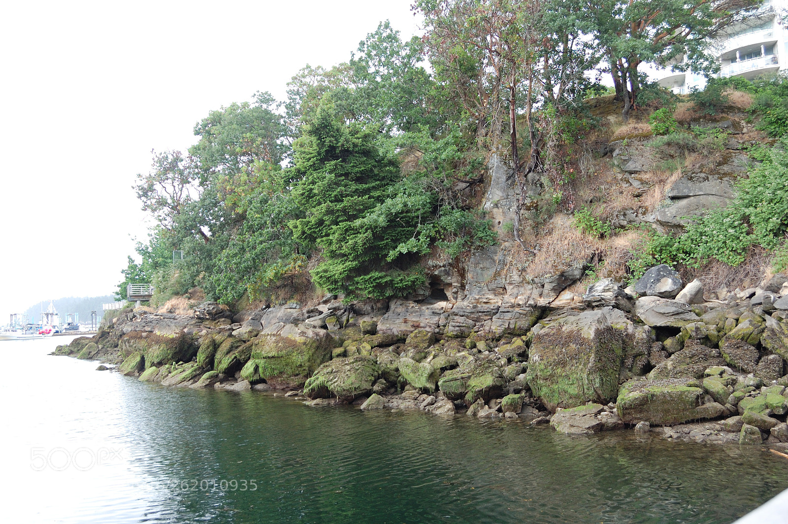 Nikon D40 sample photo. Coastal outcropping photography