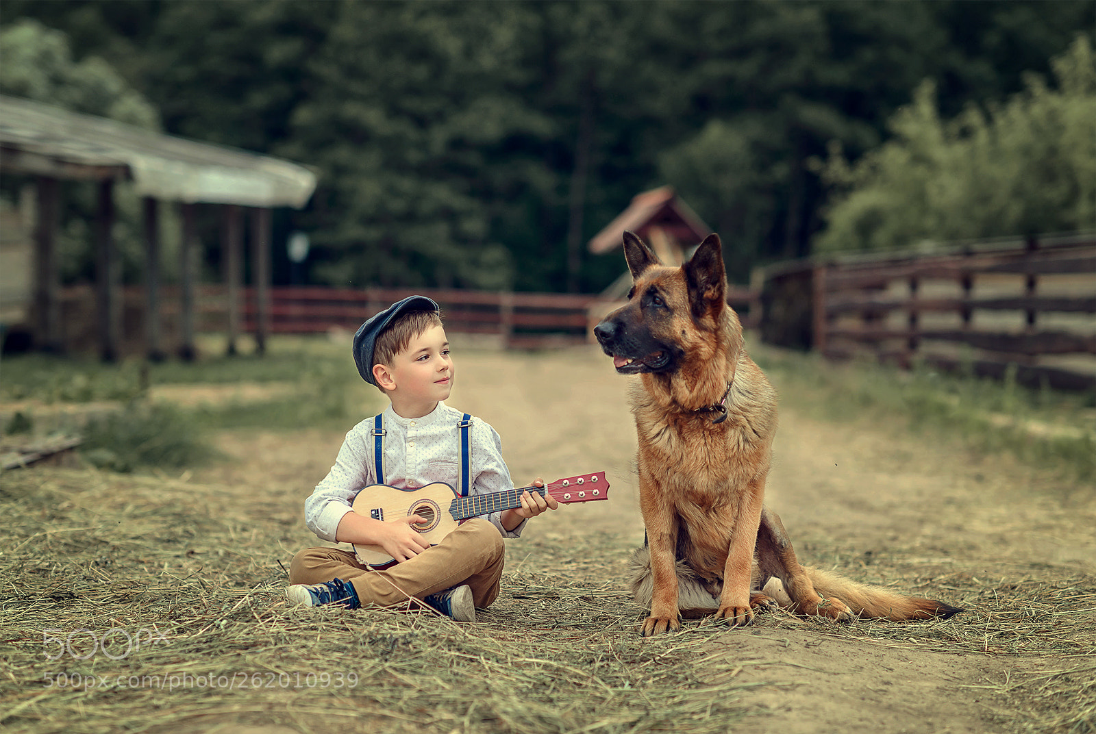 Nikon D800 sample photo. Благодарный слушатель photography