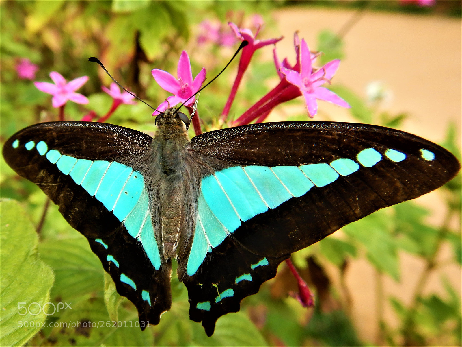 Nikon Coolpix W300 sample photo. Blue triangle photography