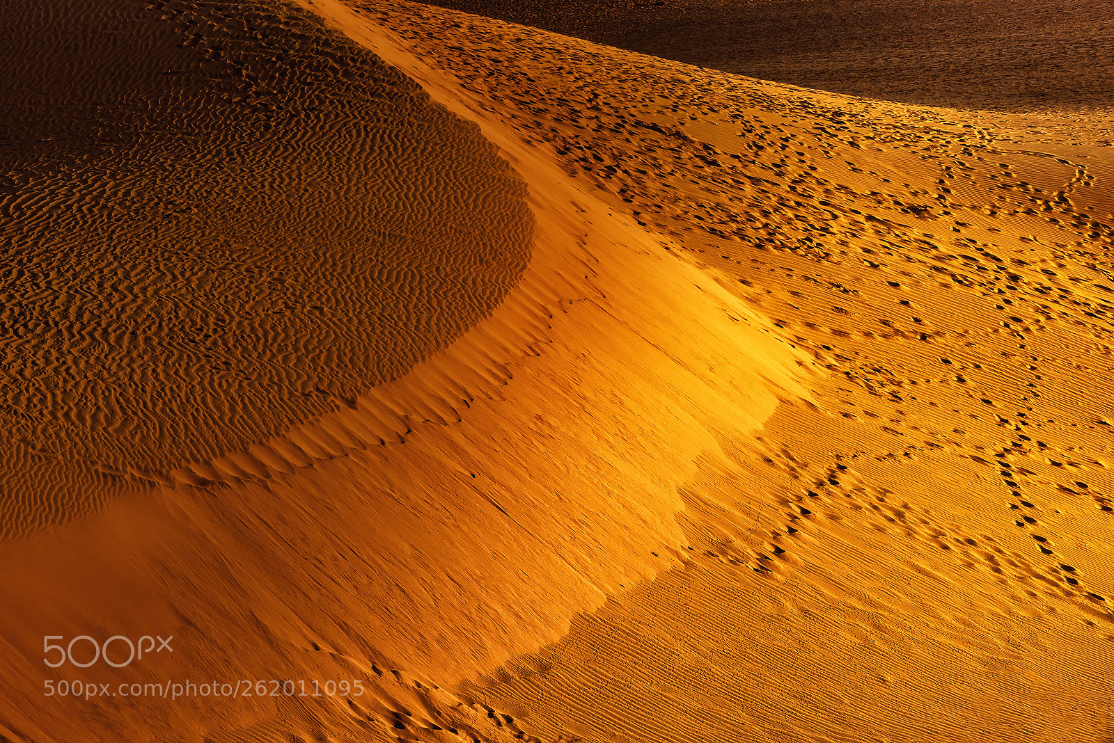 Nikon D750 sample photo. Red sand dune mui-ne photography
