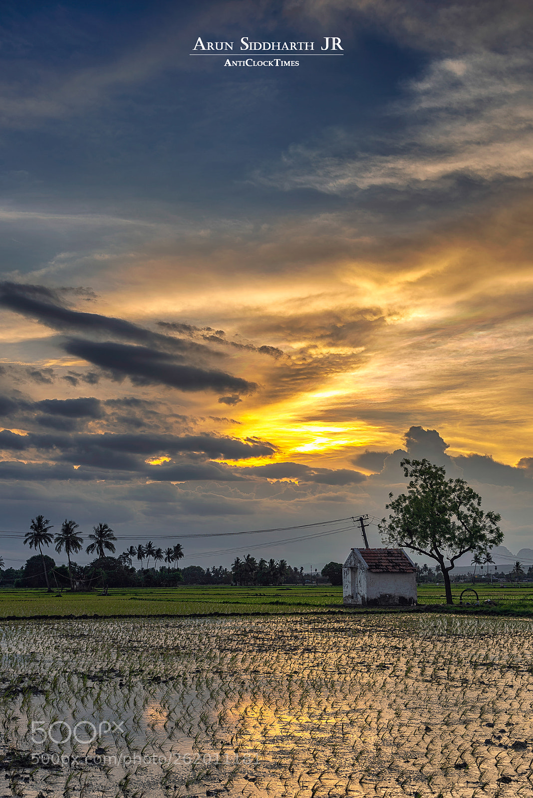 Nikon D750 sample photo. Getting ready field photography