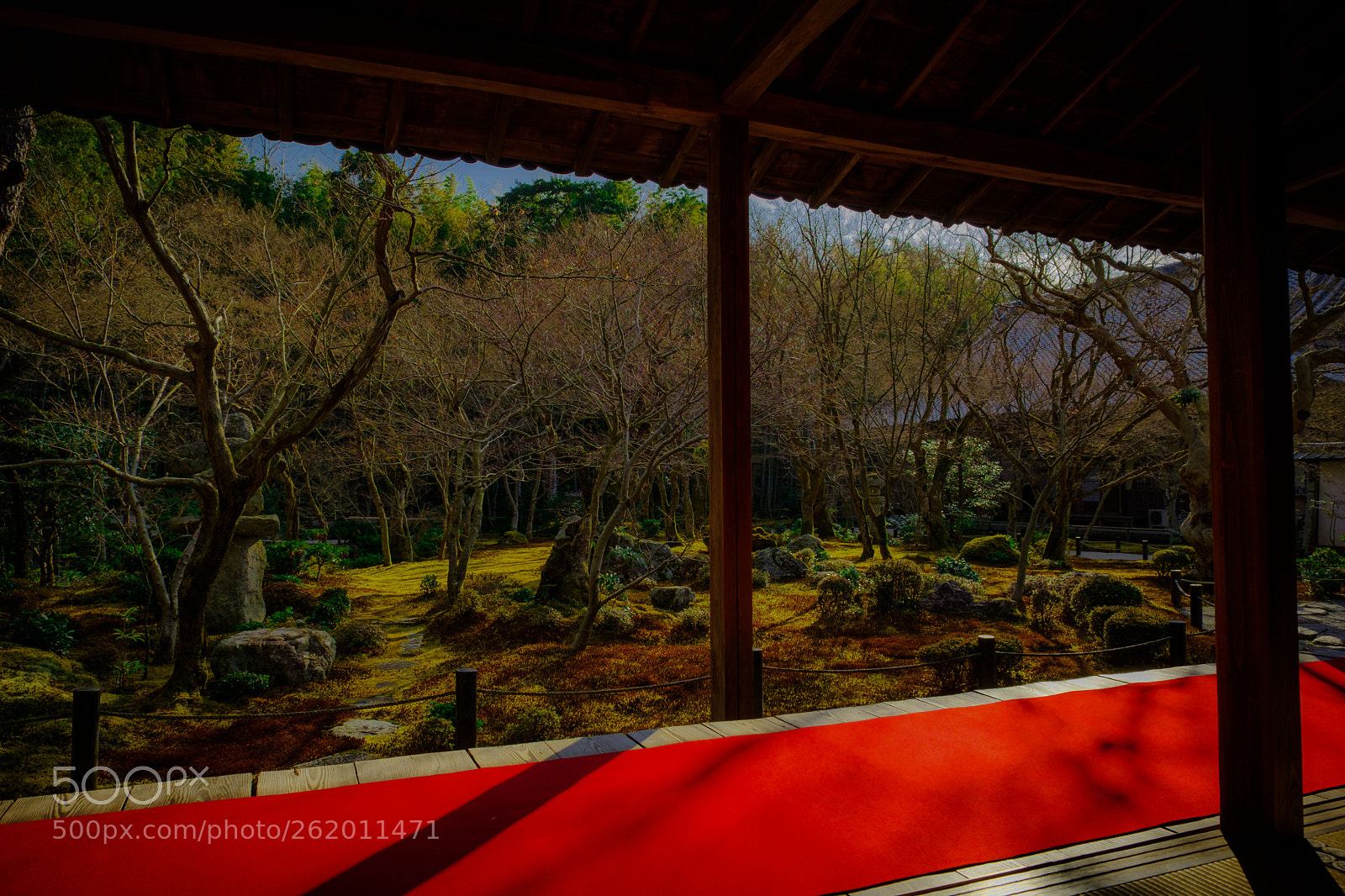 Fujifilm X-Pro2 sample photo. Peaceful moment photography