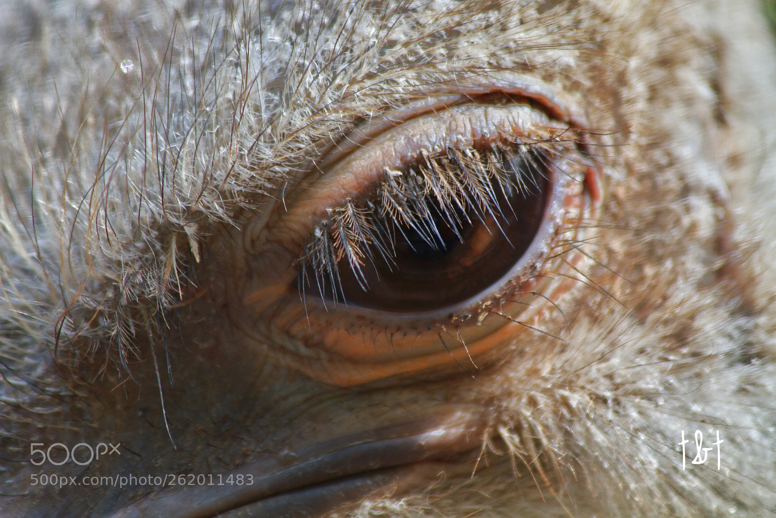 Canon EOS 7D sample photo. Untitled photography