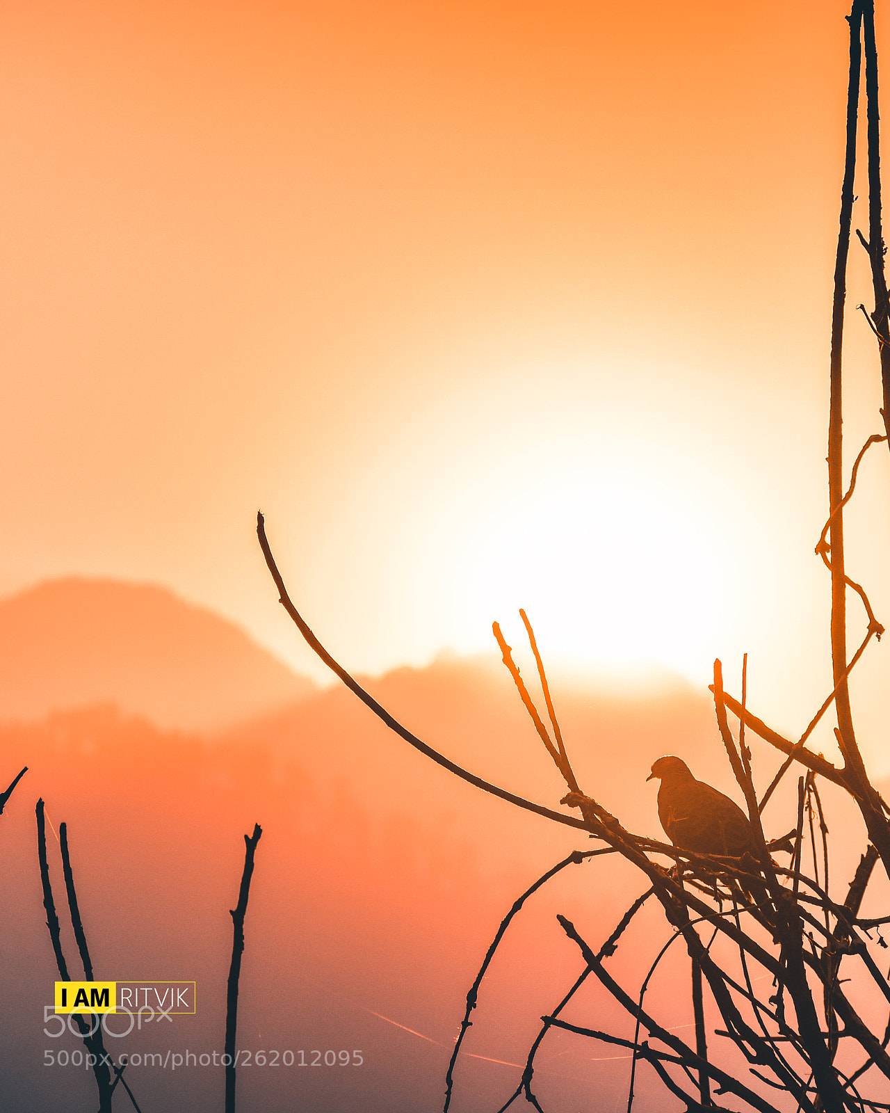 Nikon D5500 sample photo. Landscapes of sikkim photography