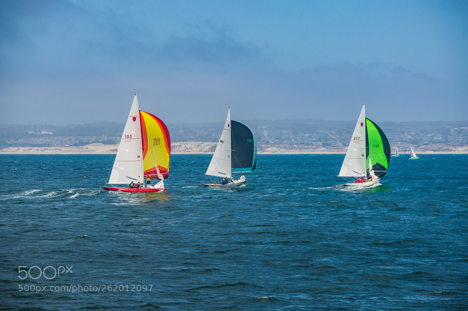 Nikon D5300 sample photo. Sailboats photography