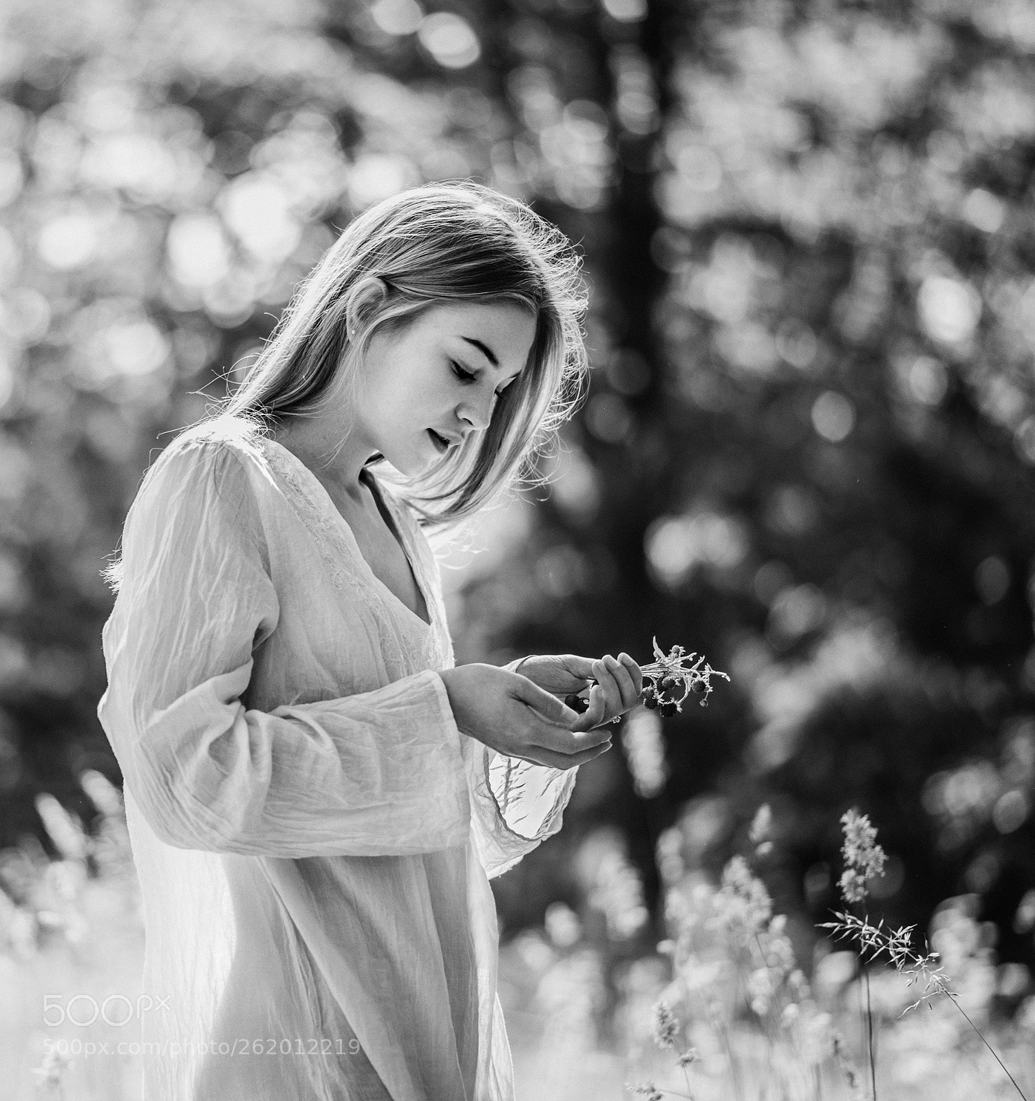 Nikon D810 sample photo. Strawberries photography