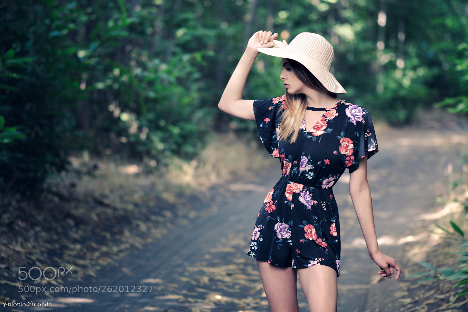 Fujifilm X-Pro2 sample photo. Summer in the woods (3) photography
