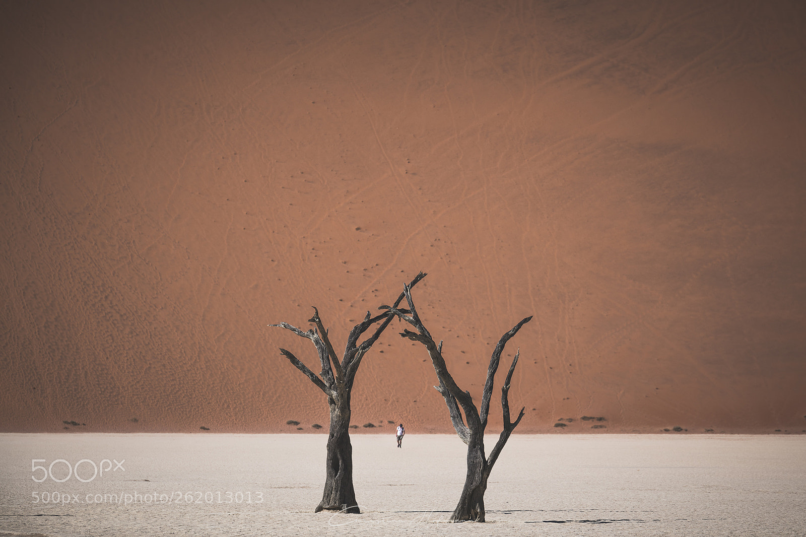 Nikon D850 sample photo. Deadvlei photography