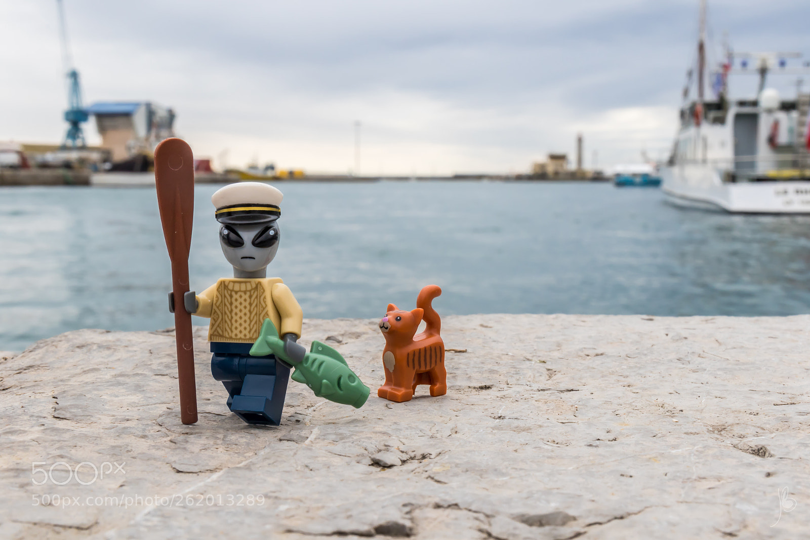Canon EOS 7D Mark II sample photo. Something seems fishy photography