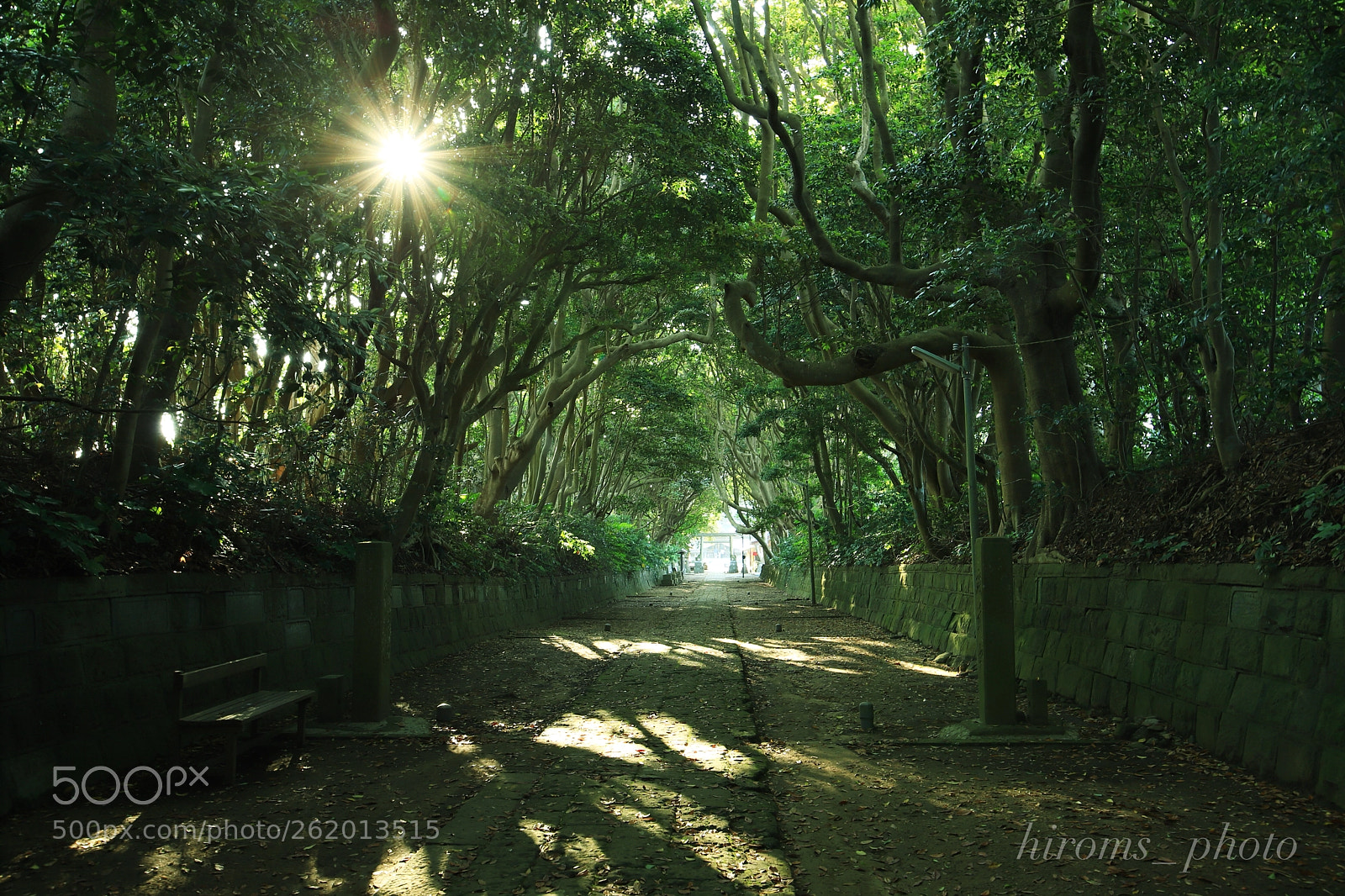 Canon EOS 6D Mark II sample photo. Untitled photography
