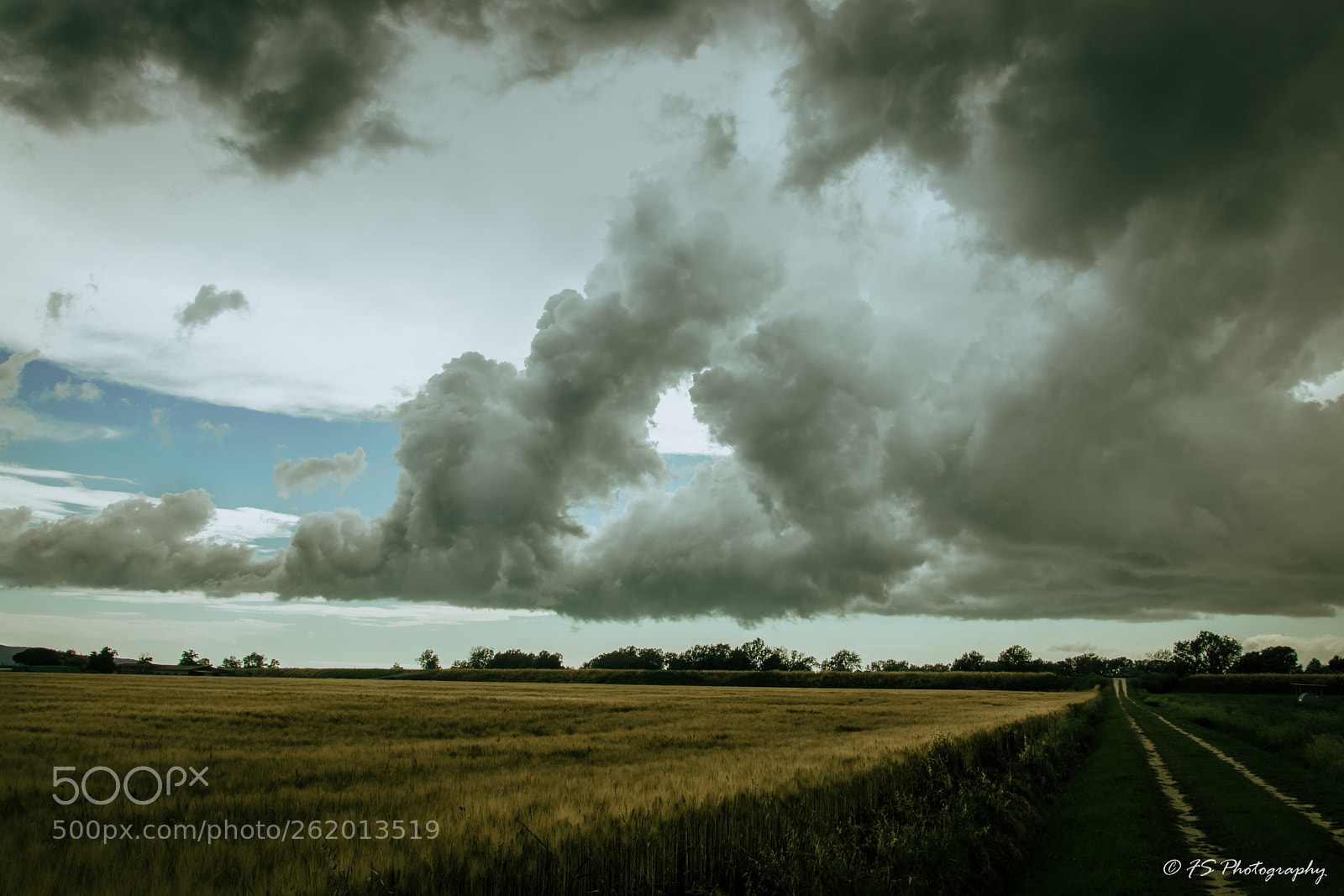 Canon EOS 77D (EOS 9000D / EOS 770D) sample photo. Storm photography