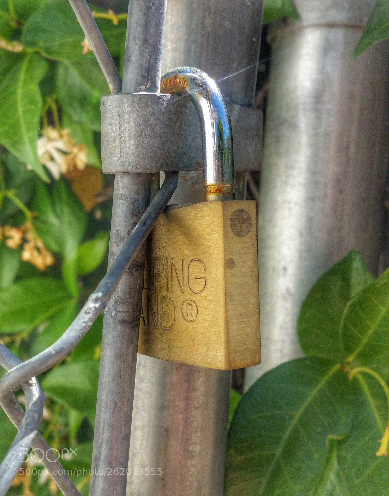 Samsung Galaxy Note4 sample photo. Locked up photography