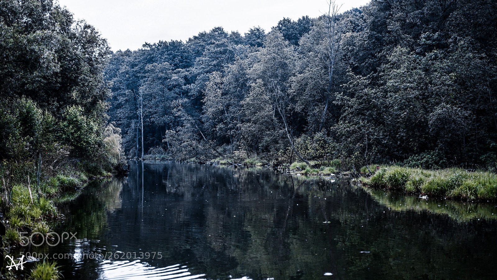 Sony a7 II sample photo. Virgin nature photography