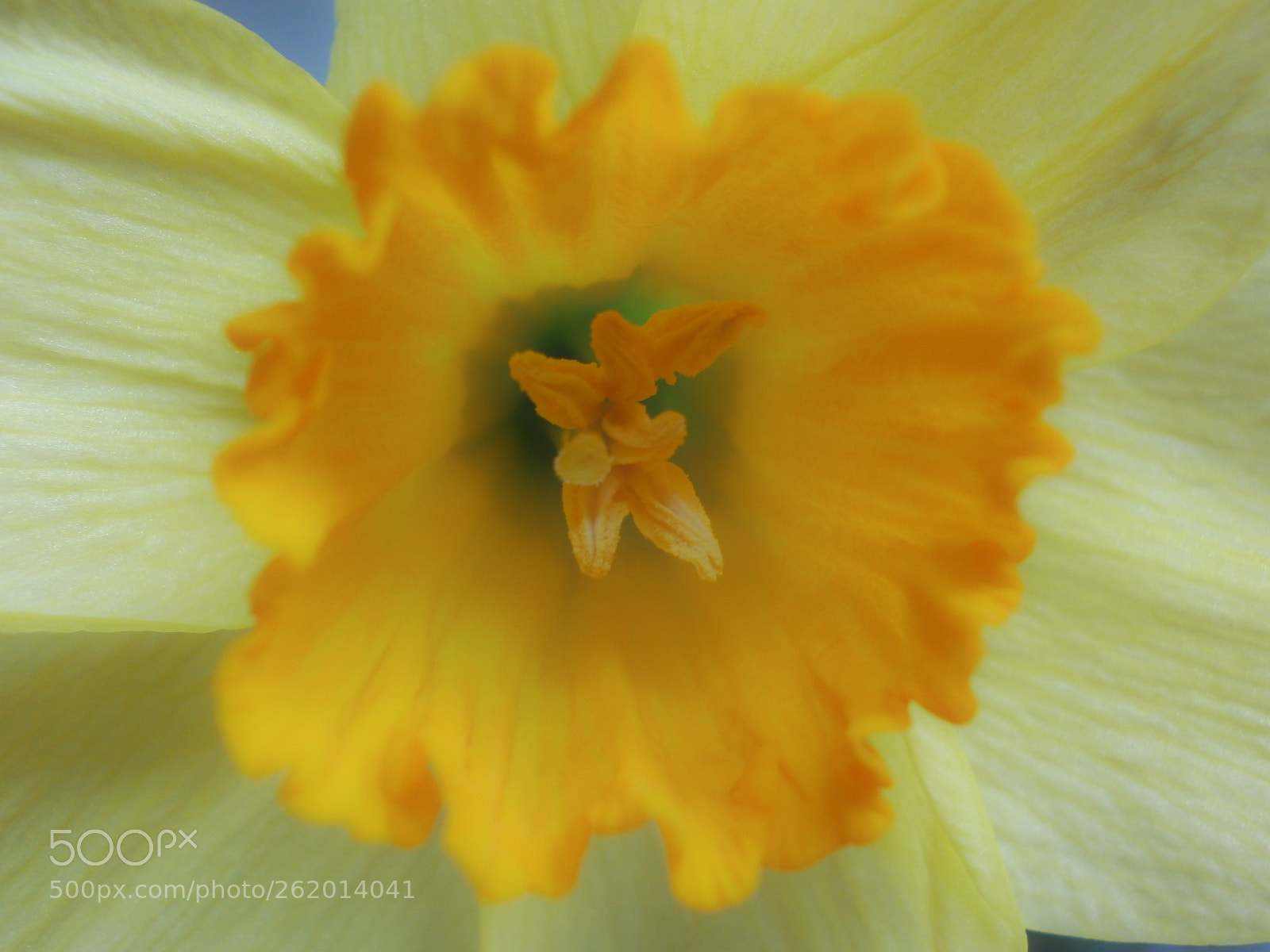 Olympus VG110,D700 sample photo. Dream on ... photography