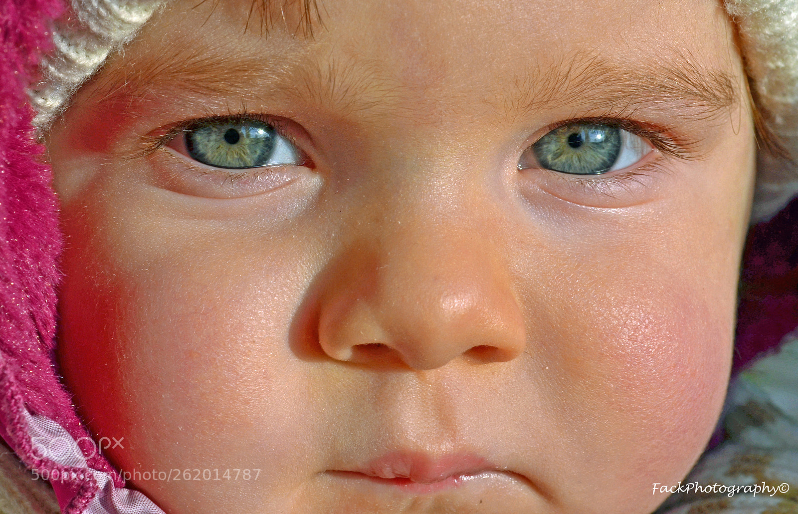 Nikon D5100 sample photo. Fabulous green eyes photography