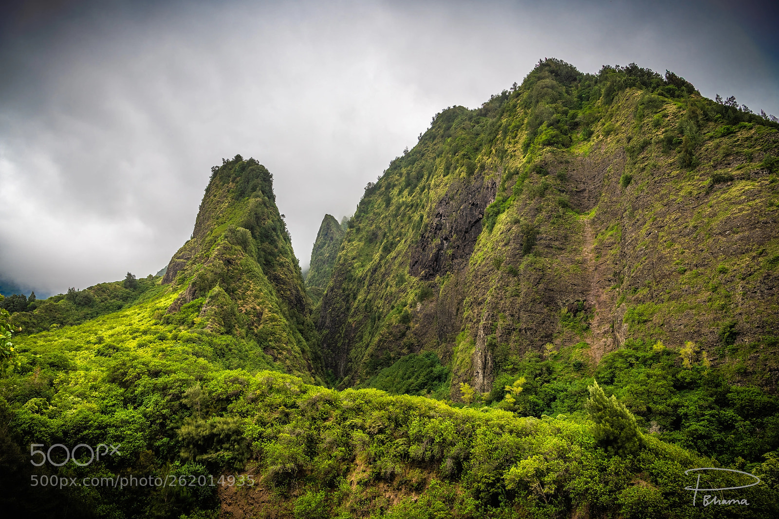 Nikon D850 sample photo. Iao valley photography