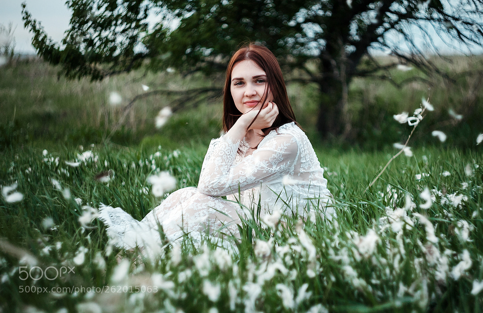 Canon EOS 5D Mark II sample photo. Untitled photography