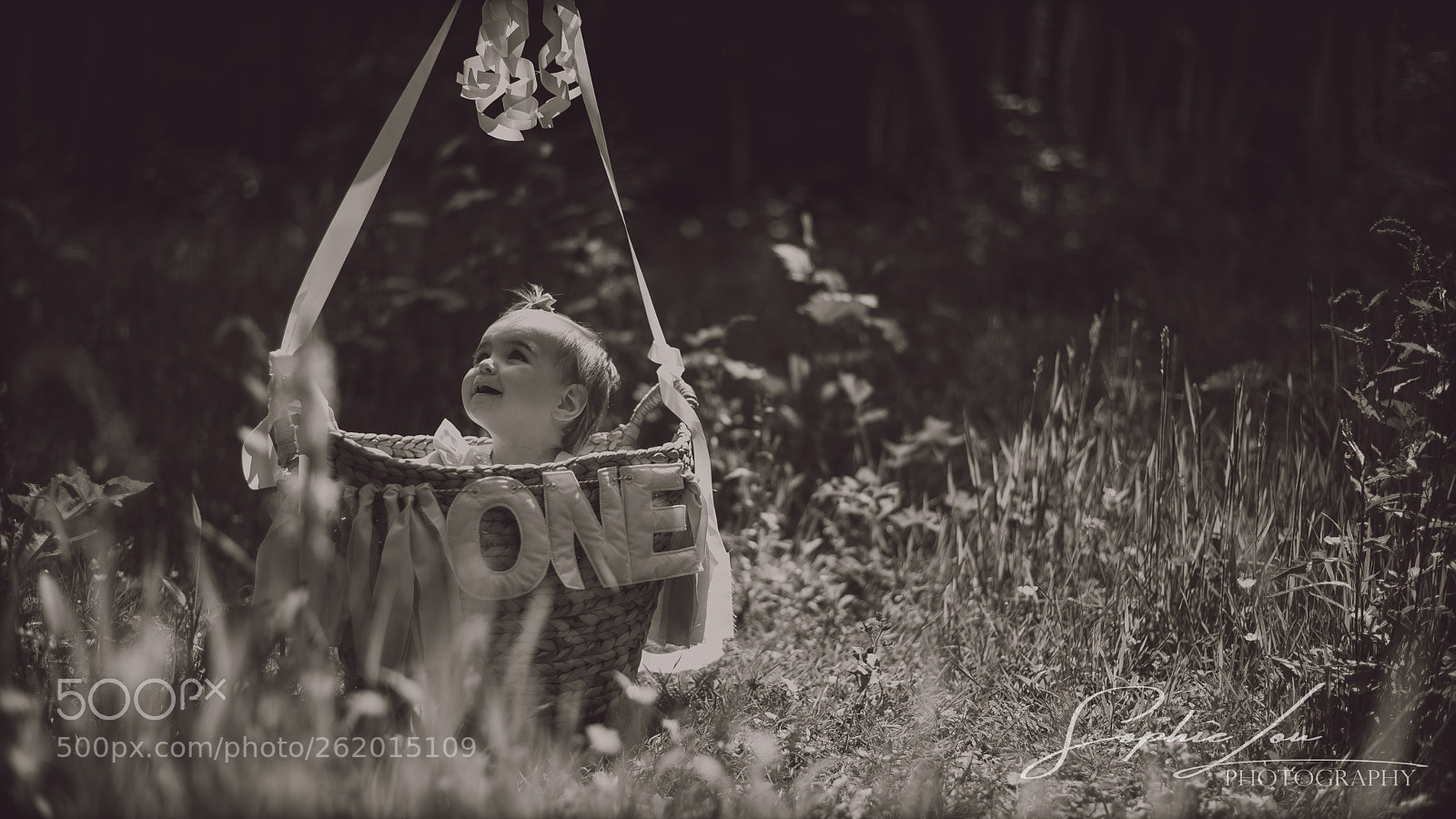Nikon D750 sample photo. Up up & away photography