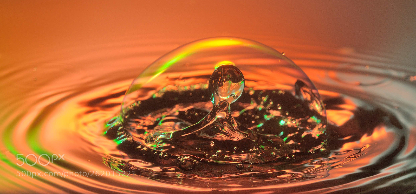 Nikon D90 sample photo. Bubbly world photography