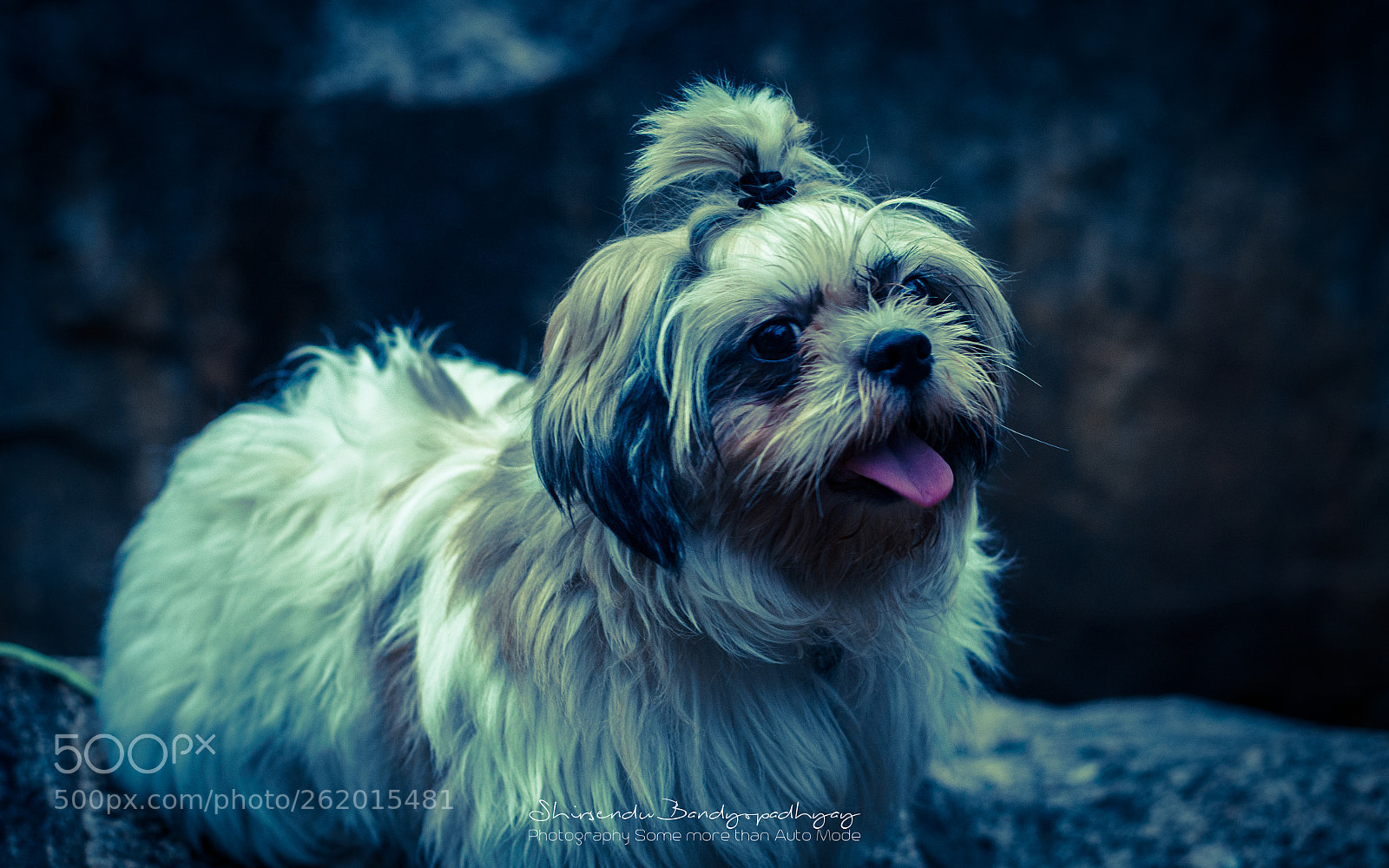 Nikon D5100 sample photo. Cutee ! photography