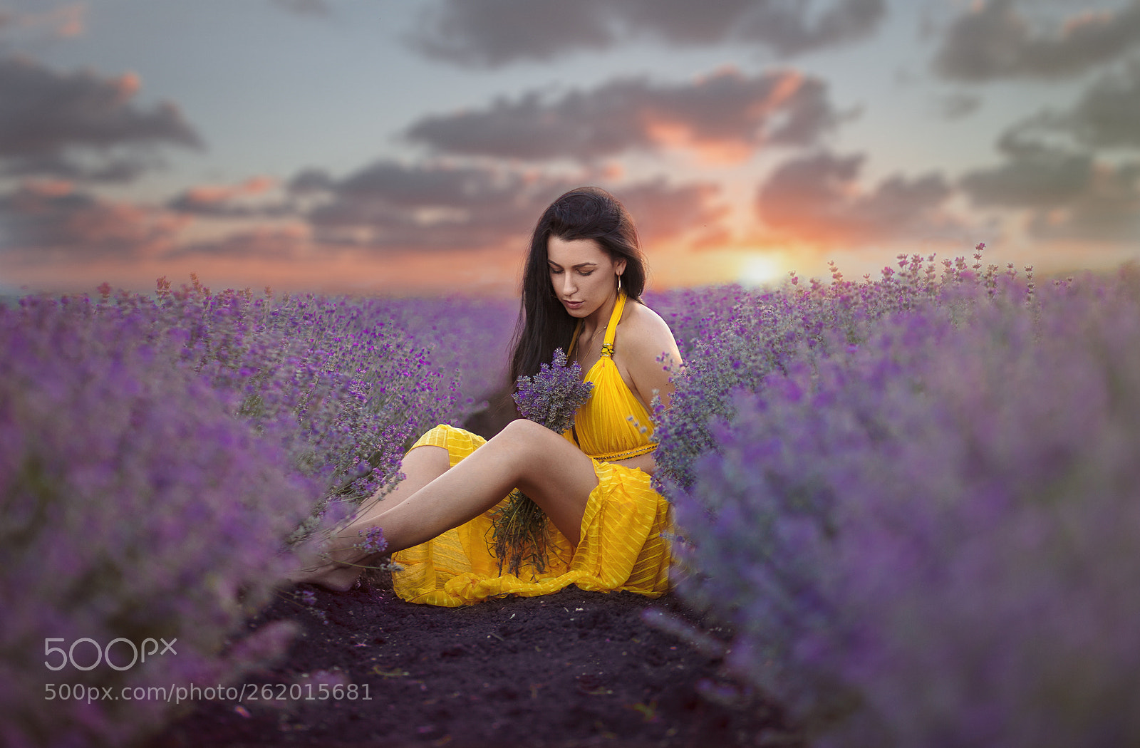 Canon EOS 6D sample photo. Lavender mood photography
