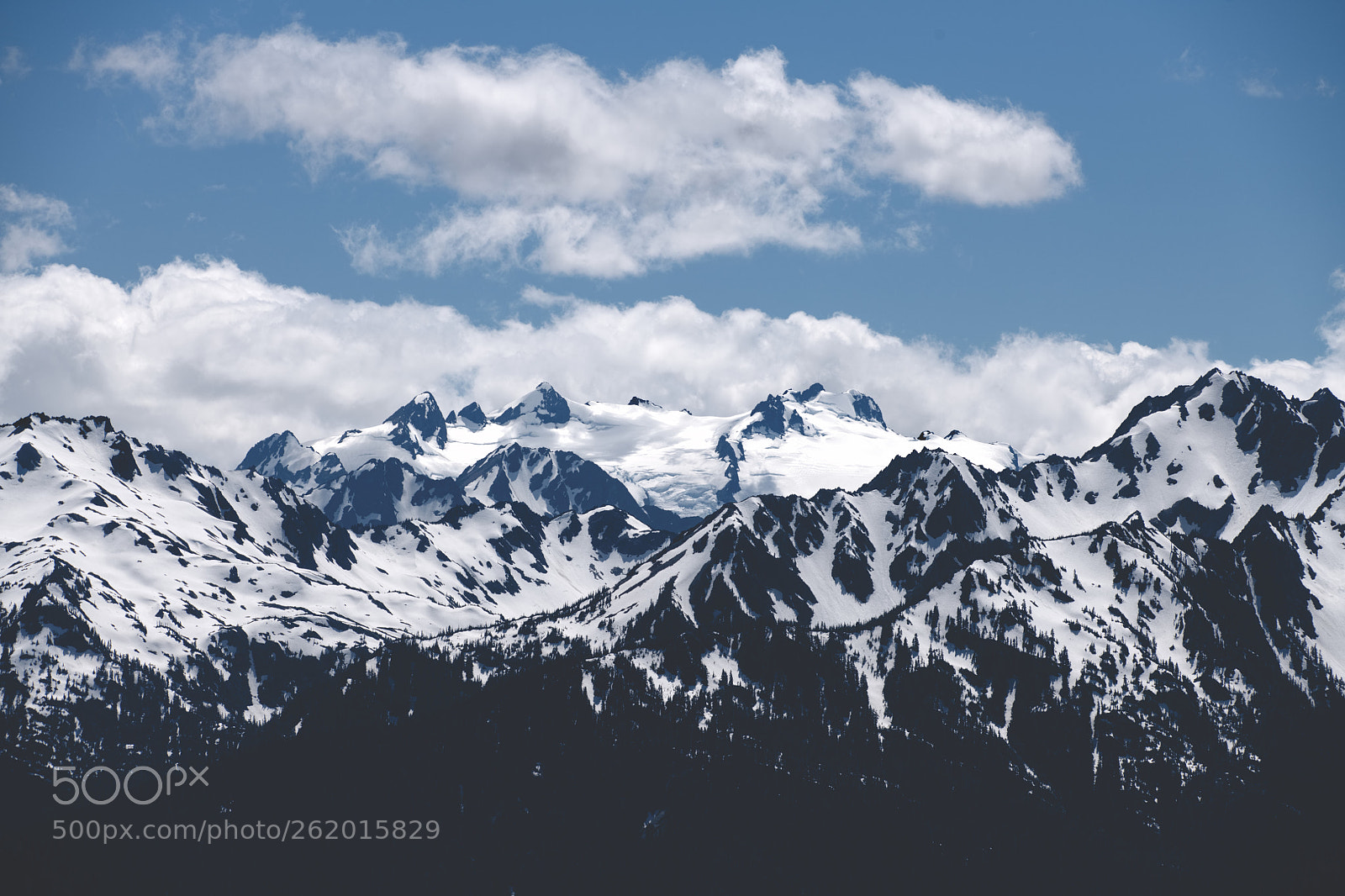 Nikon D850 sample photo. Hurricane ridge photography