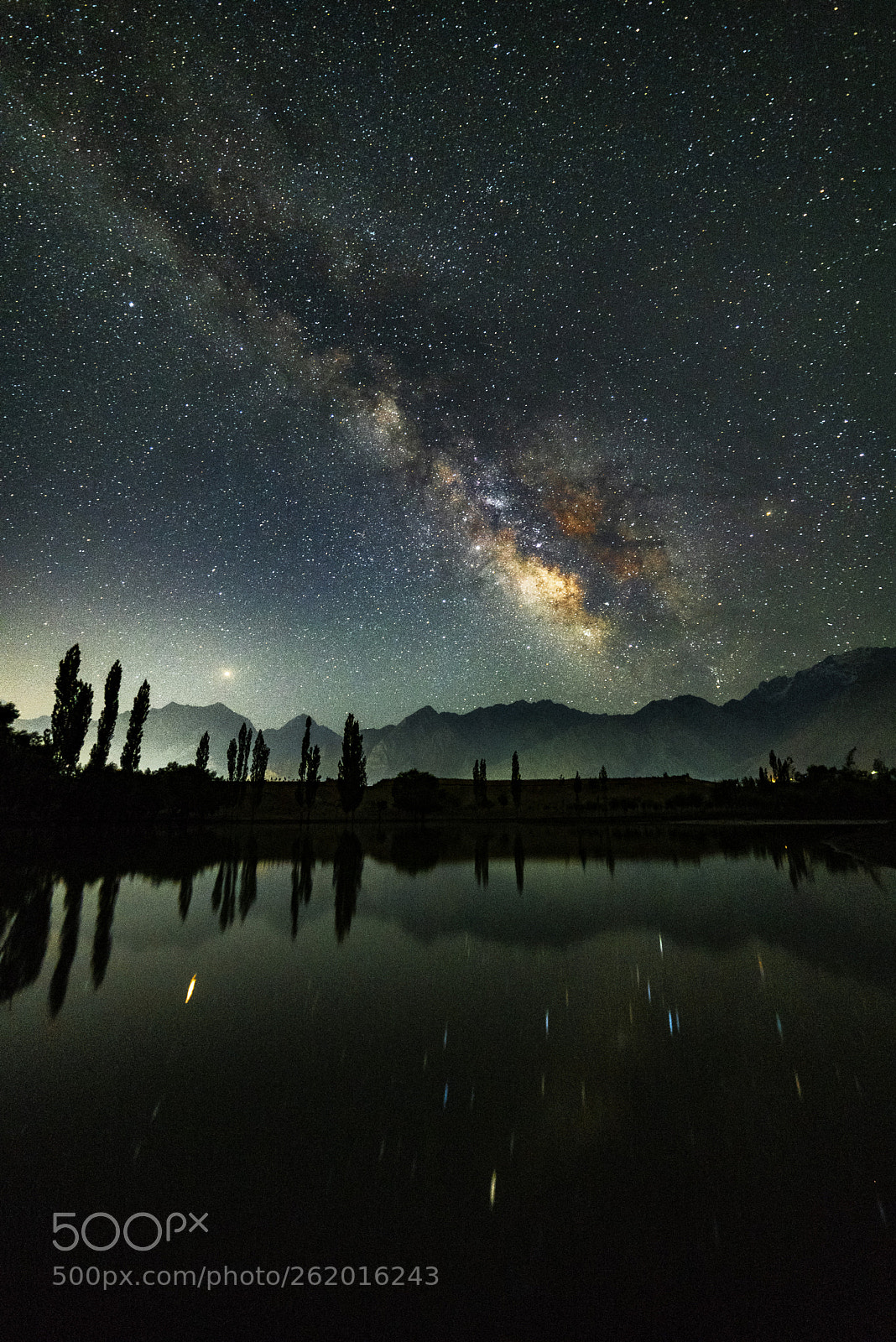Nikon D750 sample photo. Milky way photography