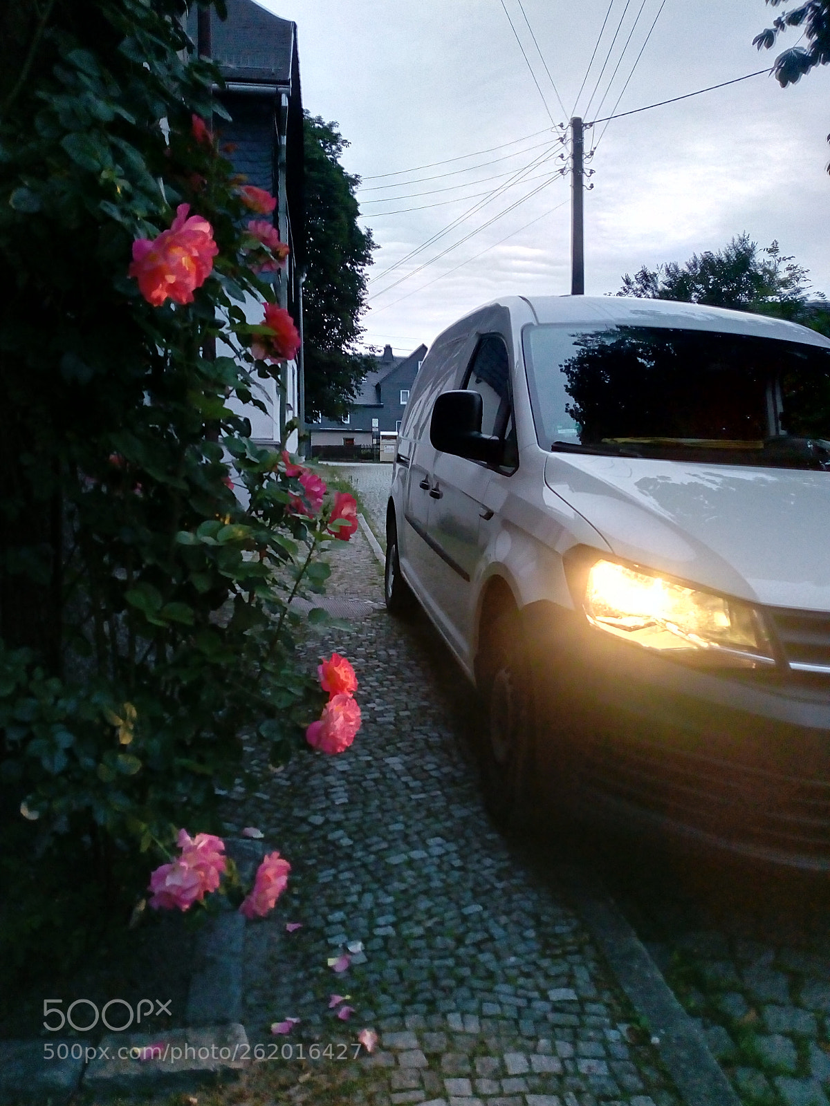HUAWEI Y6 2017 sample photo. Untitled photography