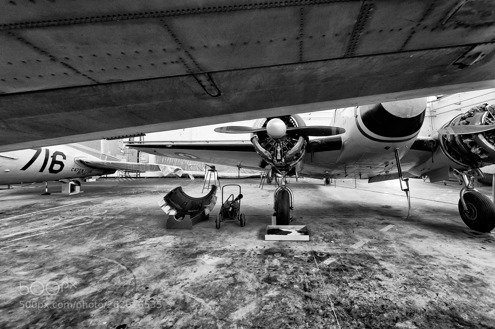 Nikon D300S sample photo. Sous l'aile photography