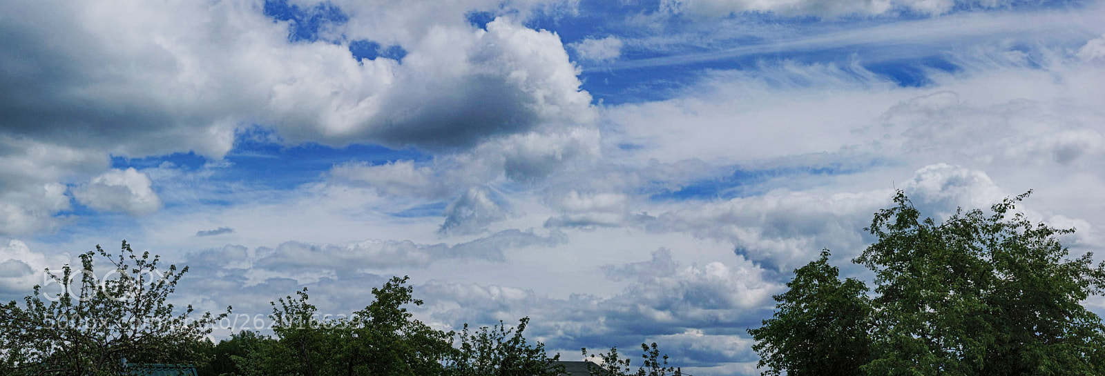 Nikon D70 sample photo. June sky photography