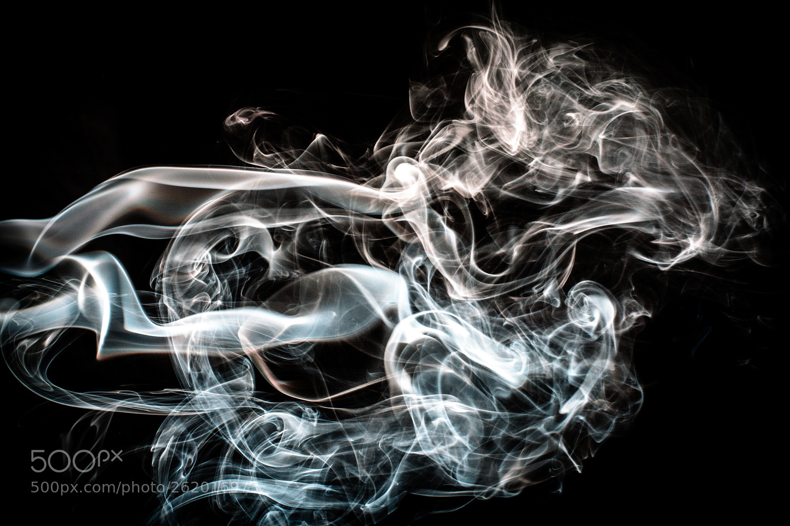 Nikon D7100 sample photo. A smokin horse photography