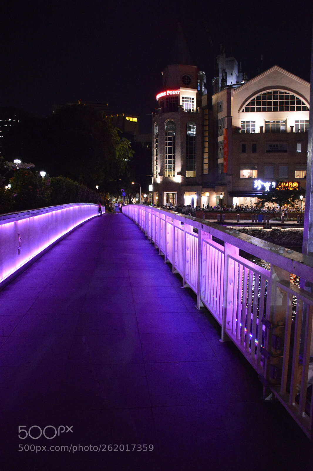 Nikon D5200 sample photo. Purple way photography