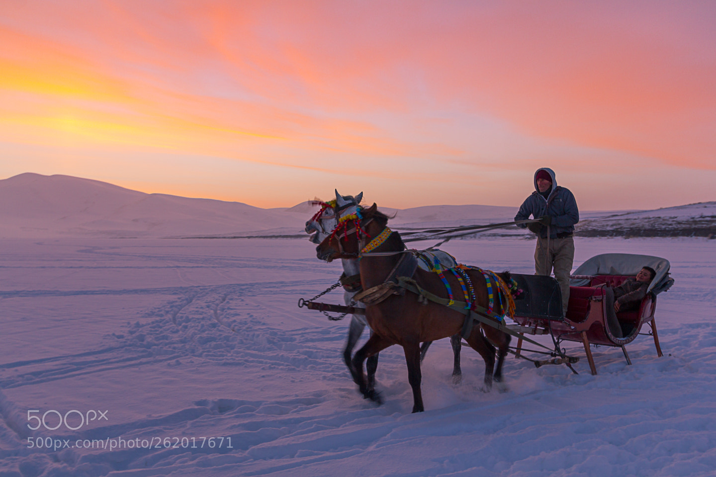 Canon EOS 550D (EOS Rebel T2i / EOS Kiss X4) sample photo. Sleigh photography
