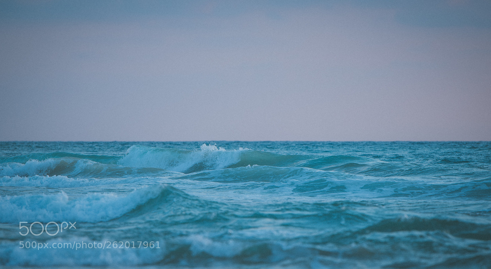 Nikon D750 sample photo. Ddp photography
