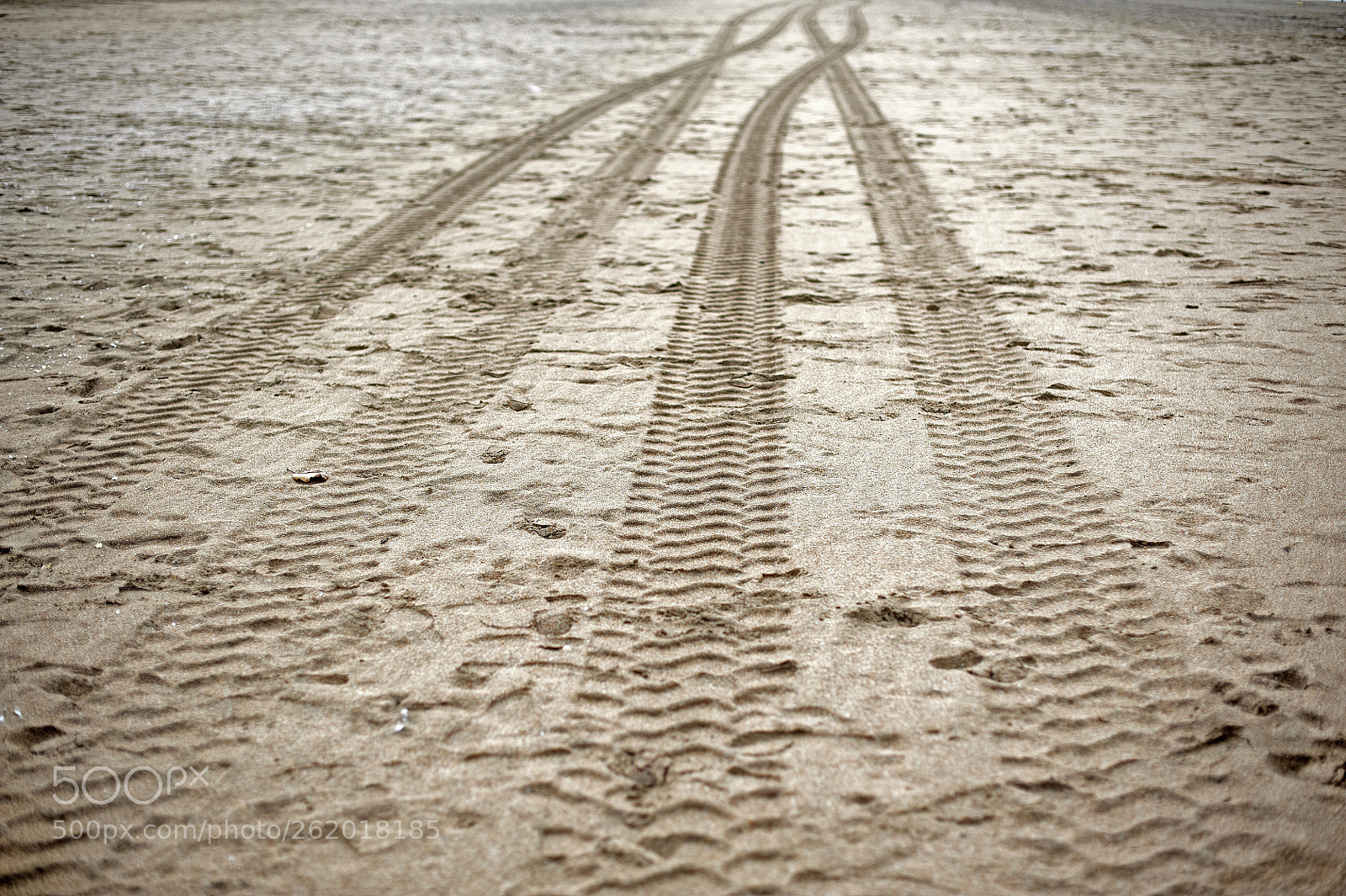Nikon D700 sample photo. Plage b photography