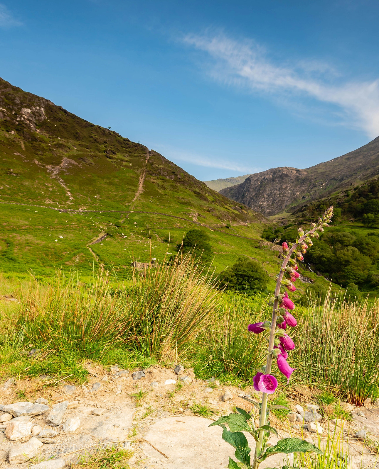 Nikon D750 sample photo. Watkin path, snowdon photography