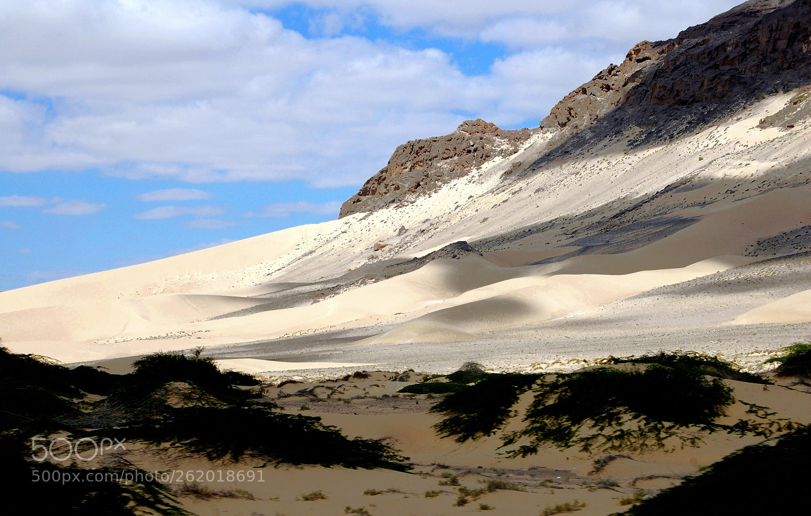 Nikon D40 sample photo. Yemen, dunes photography