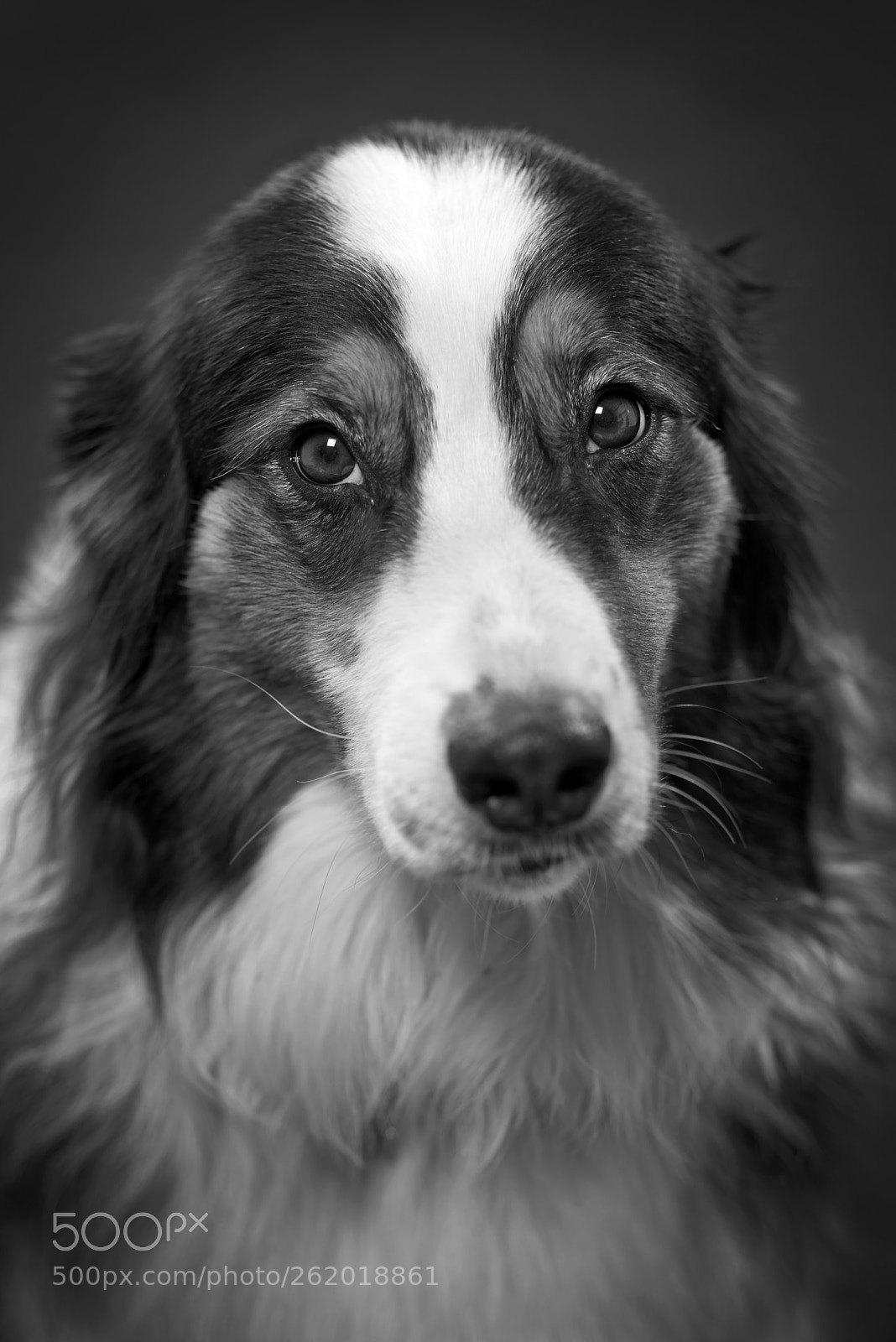 Nikon D800 sample photo. Szebulon photography